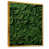 White Picture Framed