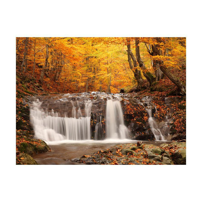 Mur de Darijo - chute d'eau en forêt, L 106 po x l 137 po