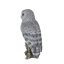 Polyresin Garden Statue-1408386488