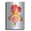 Art mural en métal «Sunset Blooms I» par Tim O'Toole-101670602