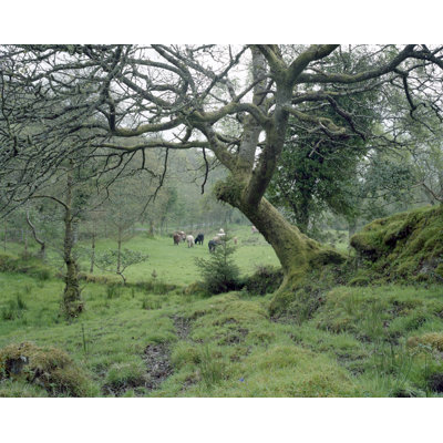 Southern Ireland by Russell Mott