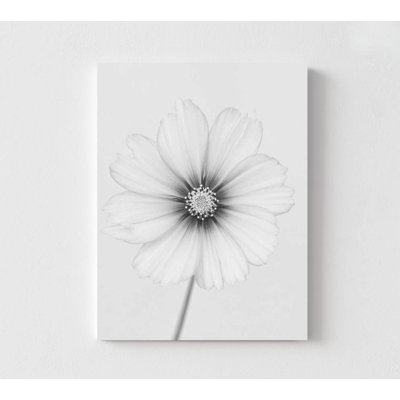 «Quiet Bloom» - Photographie florale en noir et blanc