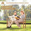 Hoopa Solid Wood Acacia Outdoor Bench