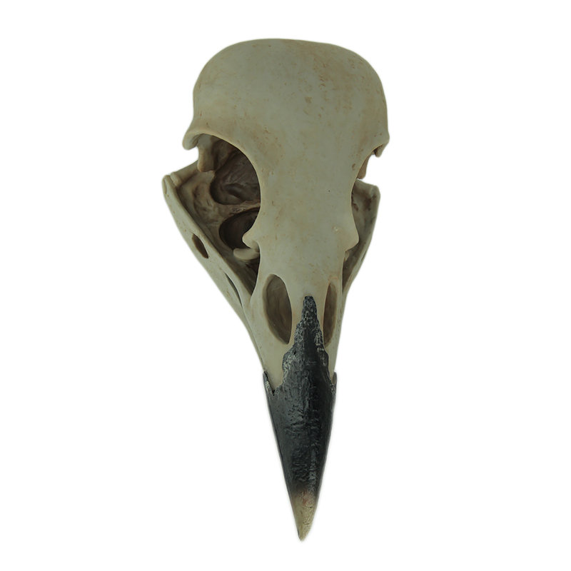 Hammonds Landscape & Nature Figurines & Sculptures
