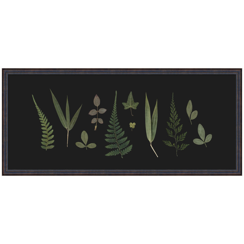 Botanical Leaf Study Panel by Stephanie Klatt Framed Wall Art Print, Dark Bronze Scoop, 19" H x 42" W