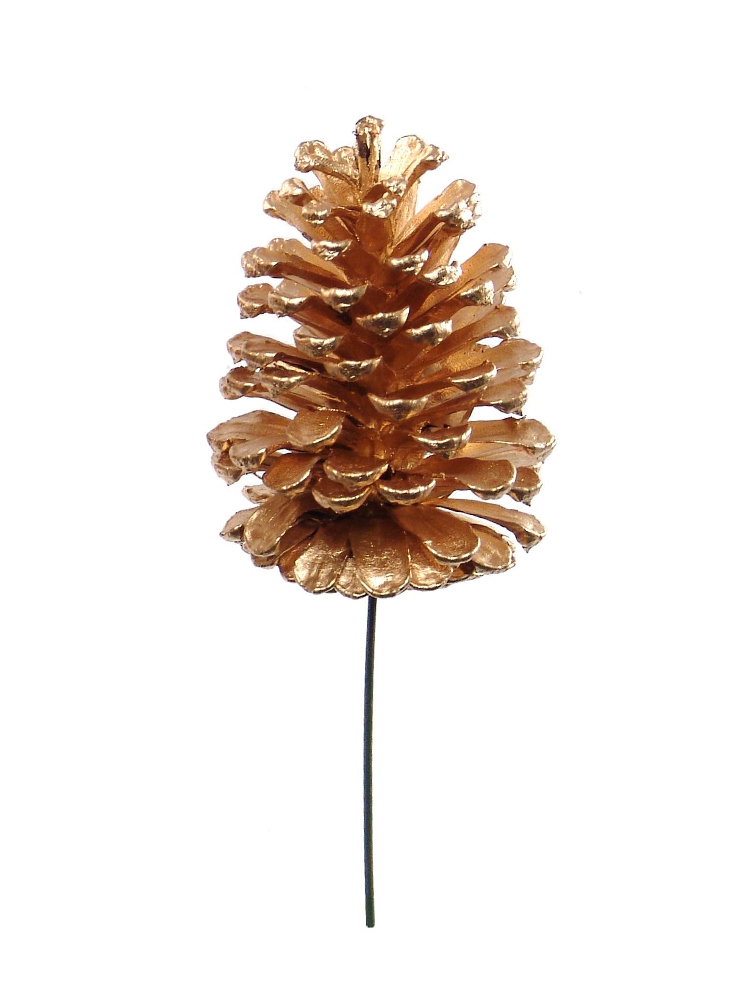 12-Pack Pine Cone Picks - Rustic Natural Decor for Home, Weddings &  Seasonal Events