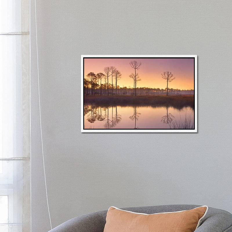 Pineland At Piney Point Near Hagen's Cove, Florida by Tim Fitzharris - Gallery-Wrapped Canvas Giclée on Canvas, White Framed