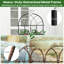 Metal Arched Trellis-114426209