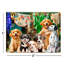 Toile de table lumineuse Playful Pups 8X6