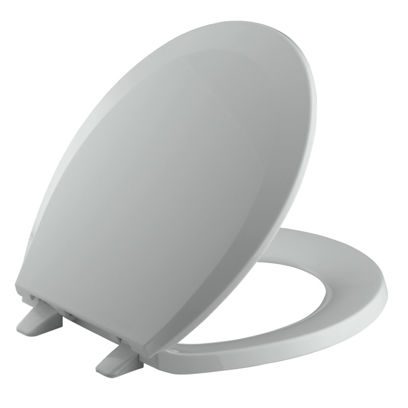 Lustra with Quick-Release Hinges Toilet Seat, Ice Grey, Round