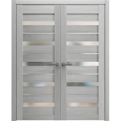 Portes doubles françaises massives en verre dépoli Quadro 4445, panneaux en chêne gris pâle, cadre et garnitures robustes, portes de placard et de chambre à coucher, 60 po x 80 po (2 x 30 x 80 po)