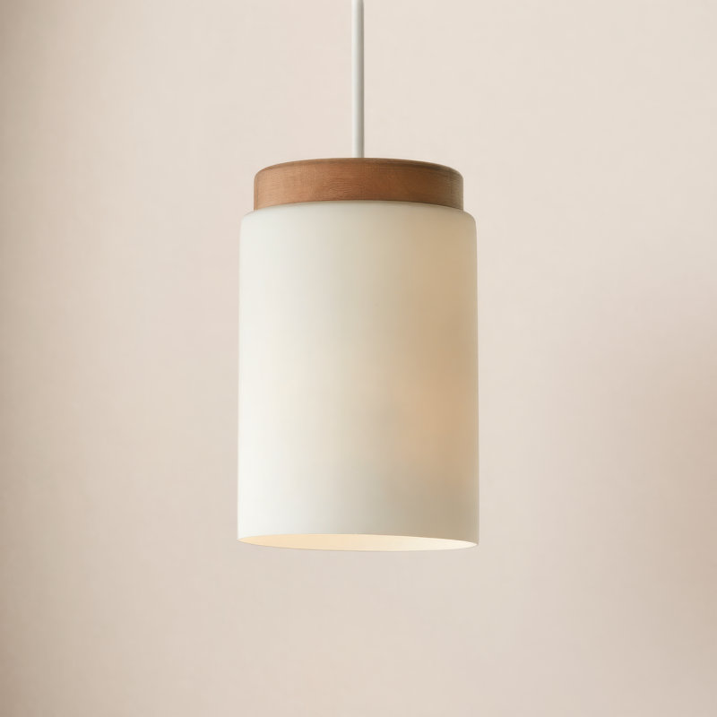 Luminaire suspendu cylindrique 1 lumière Donal