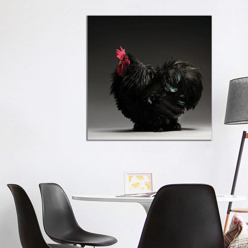 Frizzle Cochin Bantam - Wrapped Canvas Print, 93.98 cm H x 93.98 cm W x 3.175 cm D
