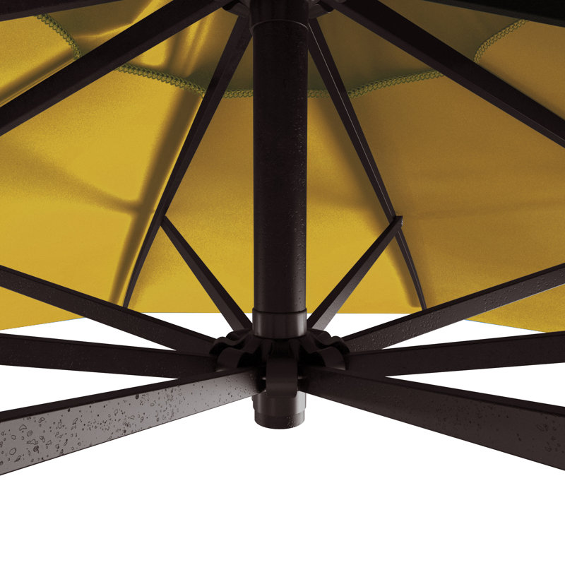 Parasol, Performance citron