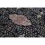 Ferrahan Wool Oriental Area Rug