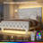 Upholstered Platform Bed Frame with LED Lights,Tall Bed Frame,PU Leather Wingback Headboard,Diamond Tufted Design,No Box Spring Needed,Easy Assembly-1458936747-1458936749