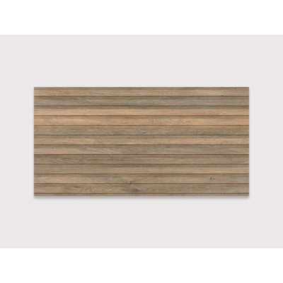 Ancona 2.0 24" x 48"