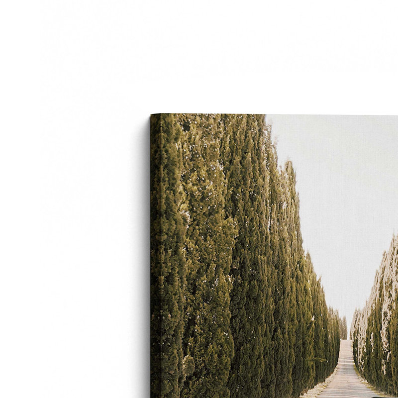 Tuscan Road Trip Rolled Canvas Print, Stretched Canvas, 54" H x 36" W x 1.25" D