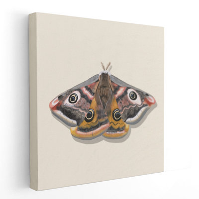 «Watercolor Moths I», reproduction d'art sur toile