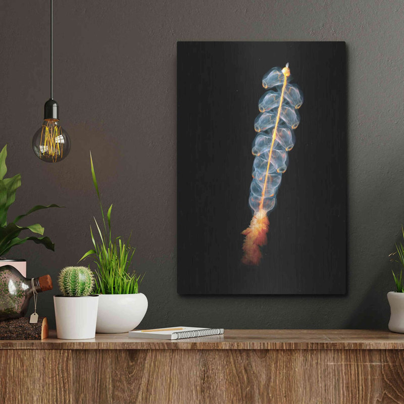 Art mural en métal Hokku Designs «Deep Sea Rocket» par Epic Portfolio, H 16 po x l 12 po