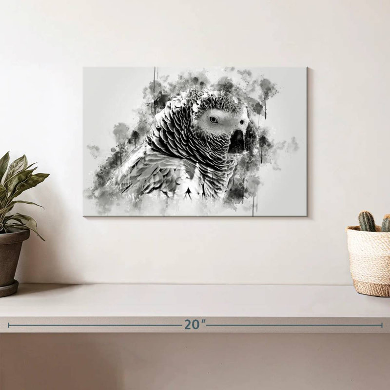 Brampt African Grey Parrot Black And White