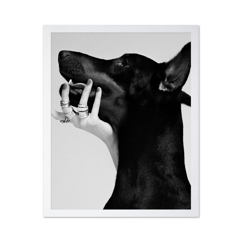 Dobermann noir, Poster, White Framed, 11"H x 14"W
