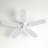 Jacobi 52'' Ceiling Fan with LED Lights-1788204790