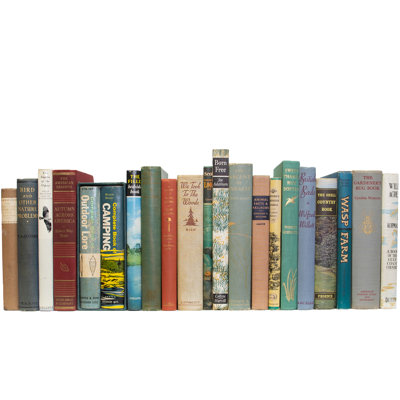 Entertainment Decorative Book