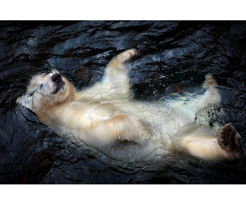 Wrapped Canvas Print, 50.8cm H x 76.2cm W
