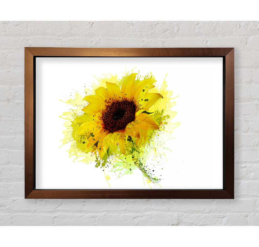 Sonnenblume Splash 1 Gerahmter Druck