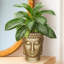 Buddha Head Small Planter, Concrete Effect Indoor Plant Pot, Face Flower Pot, Decorative Pot Cover-1120853926-1120853927