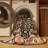 Machine Washable Persian Brown Area Rug-416912284