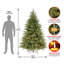 Jersey Fraser Fir Medium Tree with Dual Color LED Lights-1937365288