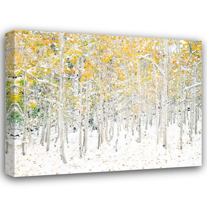 «Union Rustic Lake, Shelley Gallery», art sur toile tendue: Quake Aspens, H 20 po x l 24 po