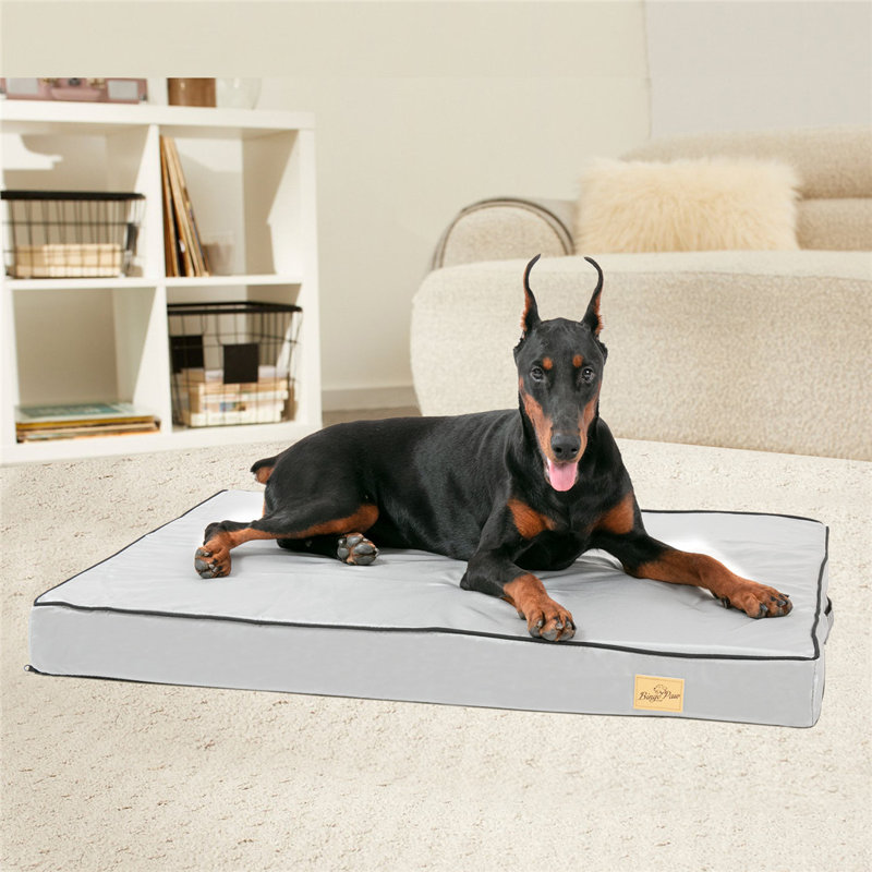 Coussin Pet, Grand (H 3,9 po x l 43,3 po x P 33,4 po)