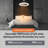 Aashini 13'' Ceiling Fan with LED Lights