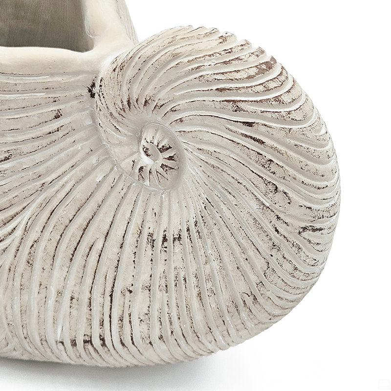Sand And Cement Nautilus Shell Planter, 7.7" H x 11.5" W x 6.7" D