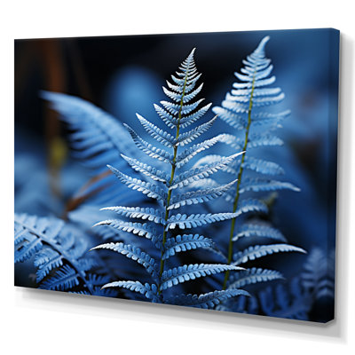 " Ferns Sapphire Tranquillity "