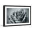 Judy Stalus - Single Picture Frame Print-20708691