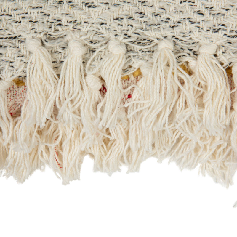 Multicolor Woven Cotton Striped and Embroidered Throw Blanket with Fringe