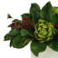 Magnolia Holiday Floral Arrangement