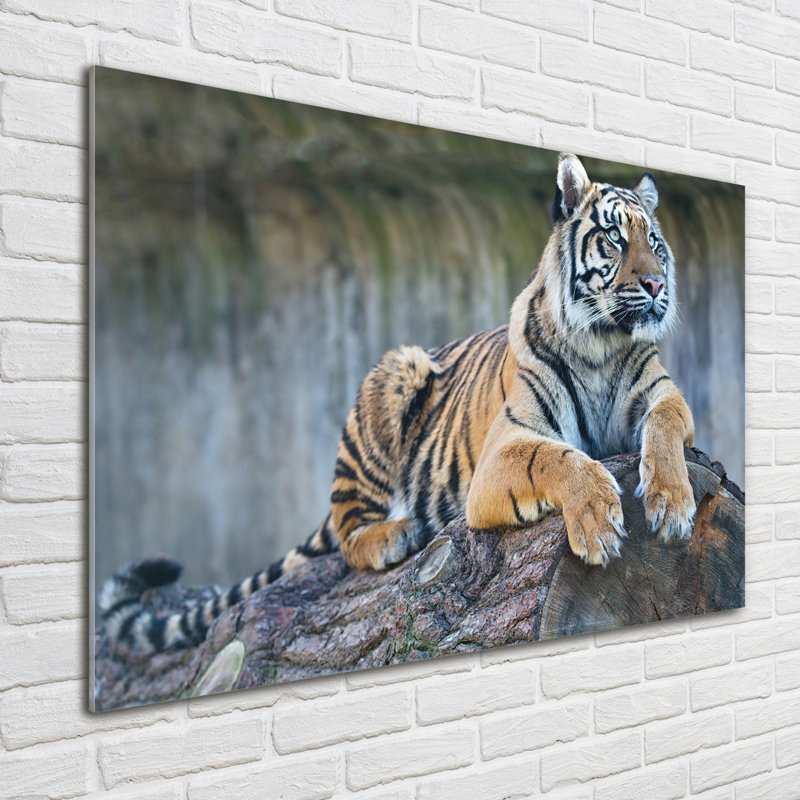 Tiger - No Frame Print on Glass
