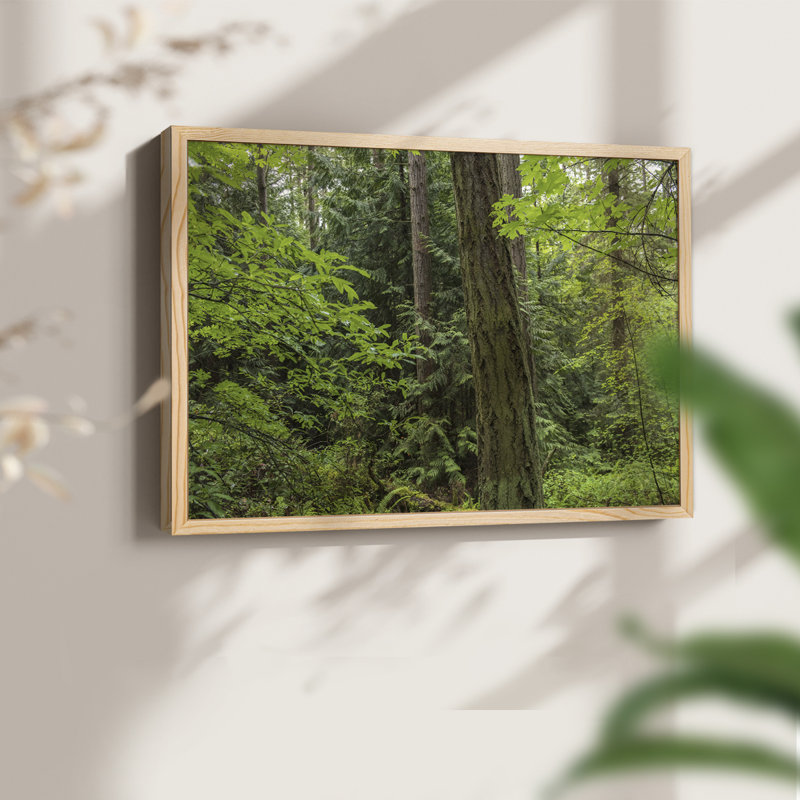 Calm of the Forest - Reproduction encadrée - Restickable, H 11 po x l 14 po, Naturel