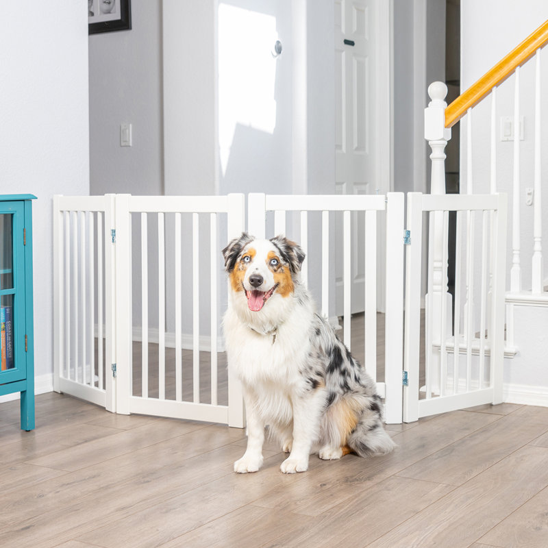 360 Series Wood Free Standing Pet Gate, White
