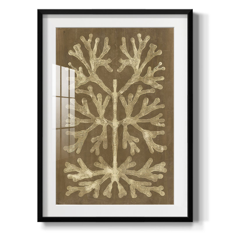 Curiosités de l'ombre imprimée I - impression encadrée, H 28,5 po x l 20,5 po, Noir