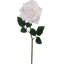Tige de rose ouverte 20 po - paquet de 6