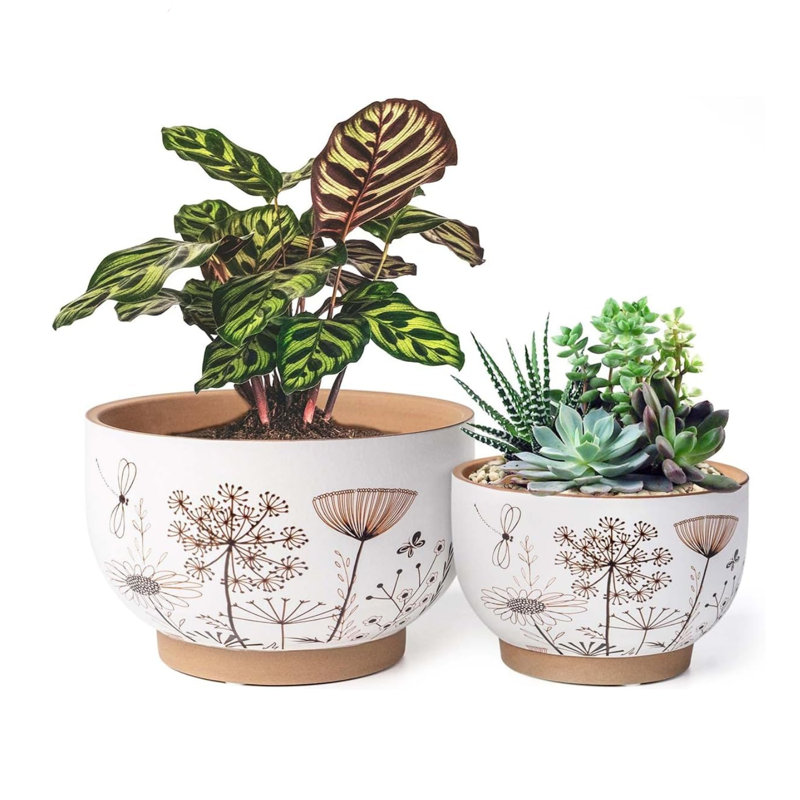Gadern Ceramic Plant Pots Set Of 2 (8 And 6 Inch)