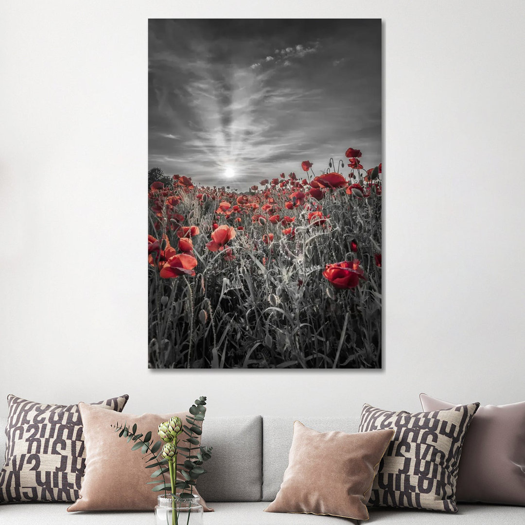 Lovely Sunset In A Poppy Field - Colorkey