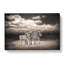 Three Zebras In The Wild - Wrapped Canvas-55361404