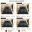 Trendy Complete Bedding Set 4 Piece Duvet Cover Fitted Sheet with Matching Pillow Cases 100% Microfibre Material-1679429904-1679429912